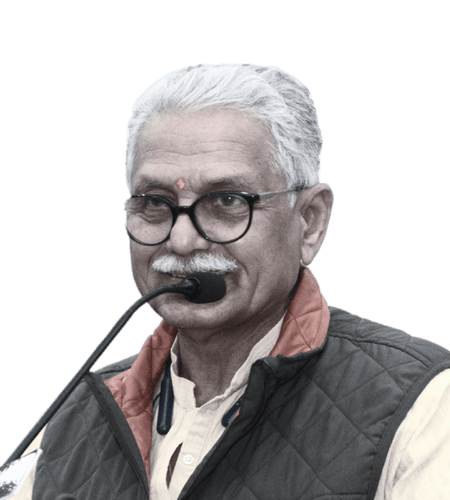 SHyam ji Parande no art style image