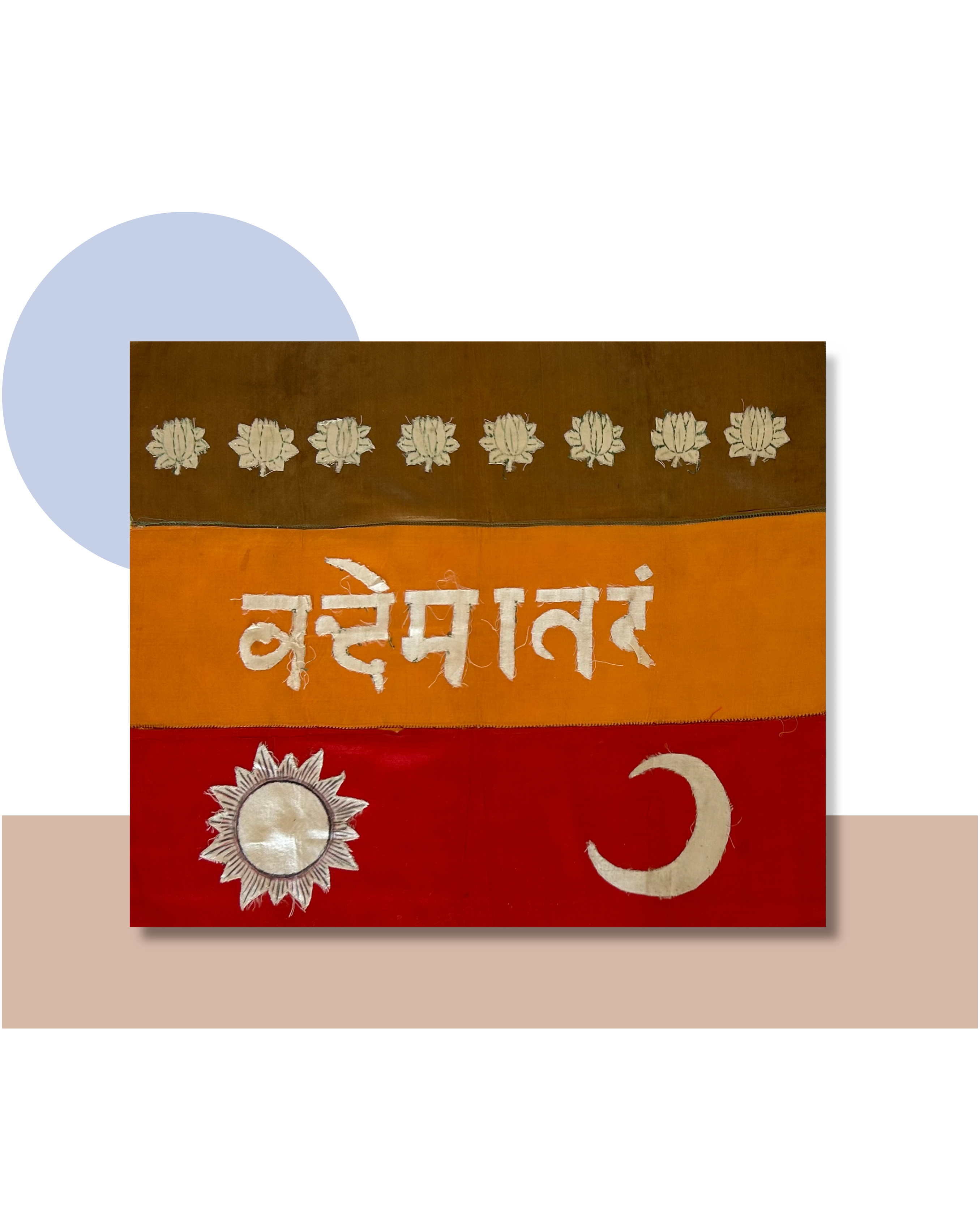 Vande Bharat Flag